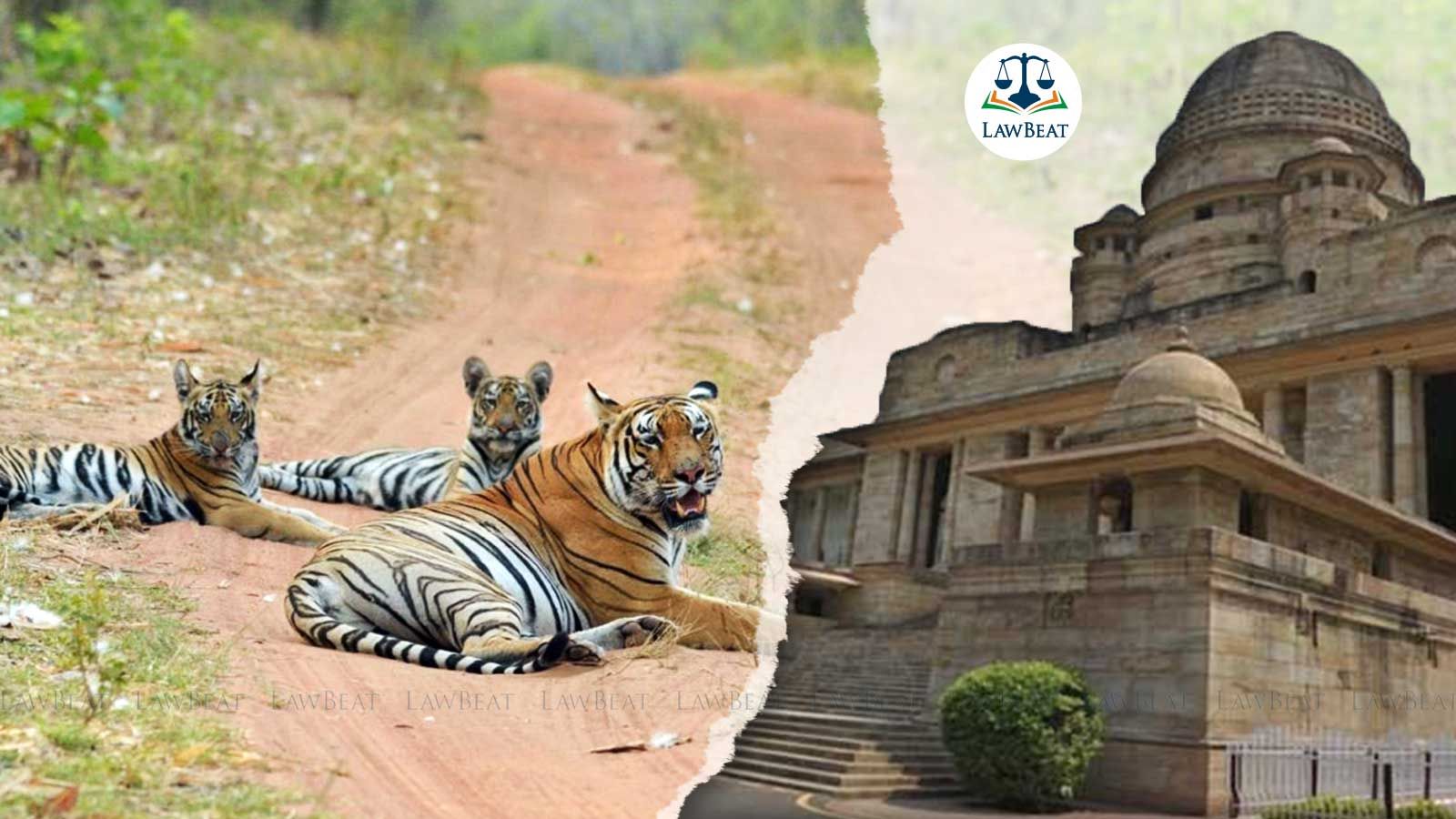 Prima Facie They Want The Tribal To Be Evicted Without Following Due Process: Bombay High Court Rejects Forest Officials Plea Prima Facie They Want The Tribal To Be Evicted Without Following Due Process: Bombay High Court Rejects Forest Officials Plea